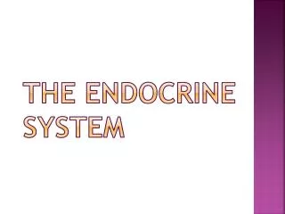 The Endocrine System