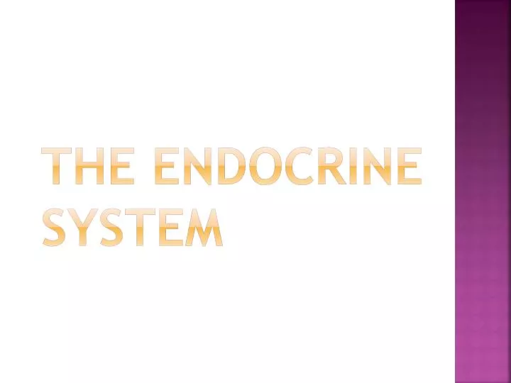 the endocrine system