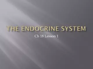 the endocrine system