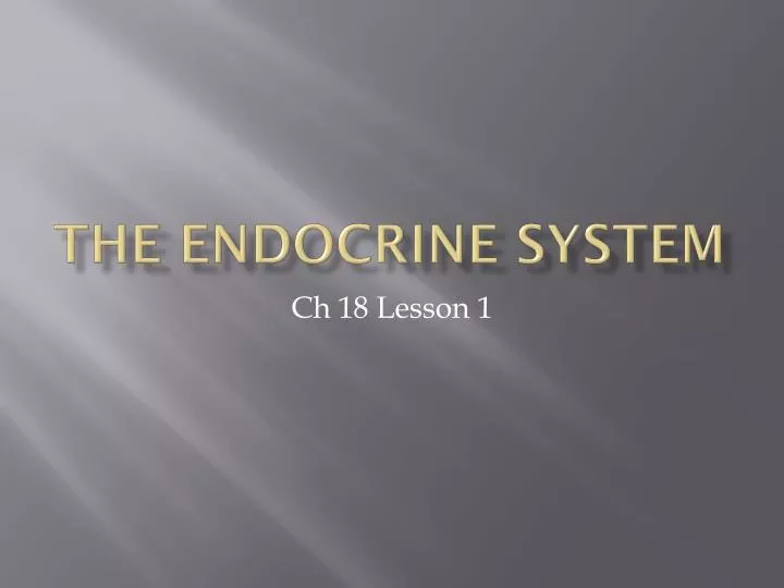 the endocrine system