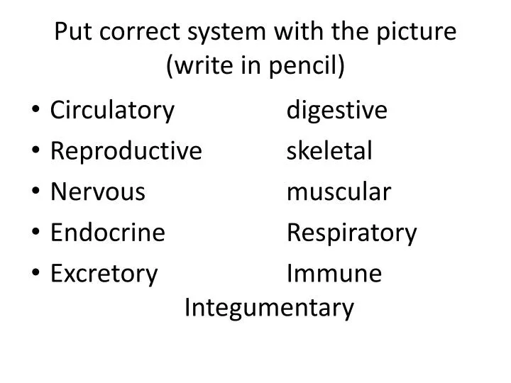 put correct system with the picture write in pencil