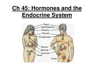 Ch 45: Hormones and the Endocrine System