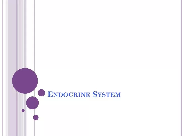 endocrine system