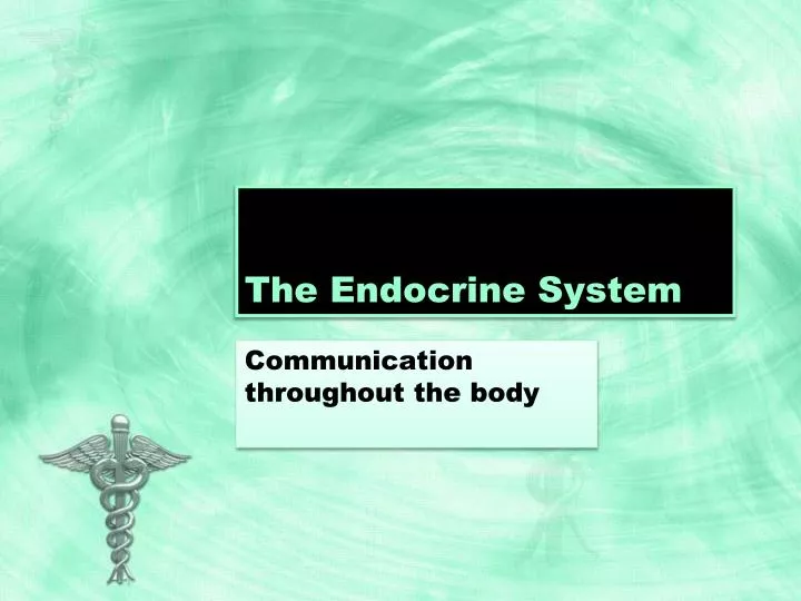 the endocrine system