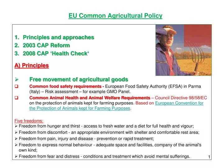 eu common agricultural policy