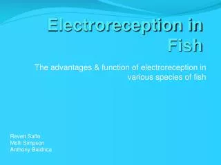Electroreception in Fish