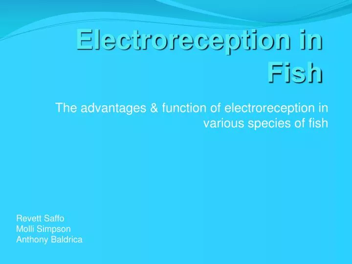 electroreception in fish