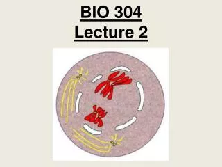 BIO 304 Lecture 2