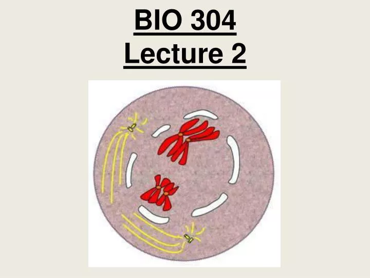 bio 304 lecture 2