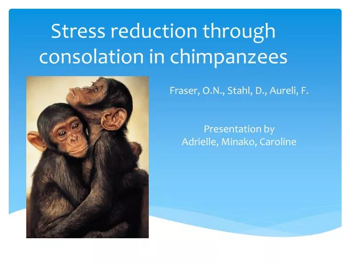 stress reduction through consolation in chimpanzees