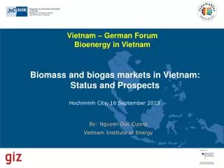 Biomass and biogas markets in Vietnam: Status and Prospects