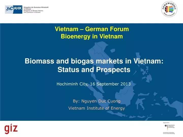 biomass and biogas markets in vietnam status and prospects