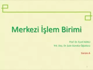 merkezi lem birimi