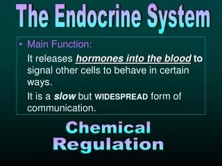 The Endocrine System