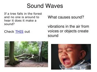 Sound Waves