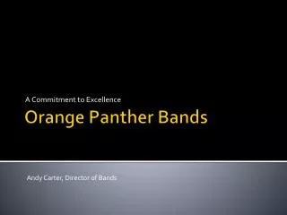 Orange Panther Bands