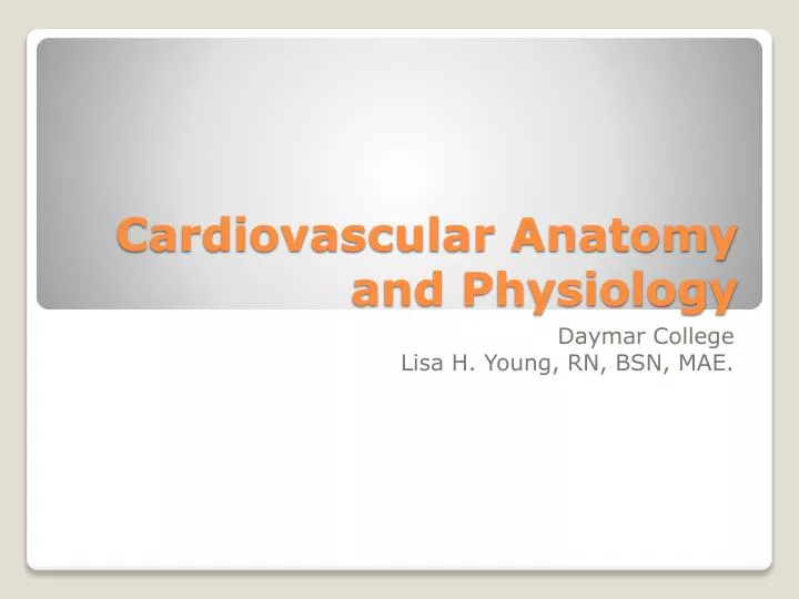 cardiovascular anatomy and physiology