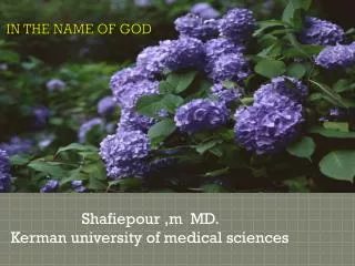 Shafiepour ,m MD . Kerman university of medical sciences
