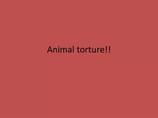 Animal torture!!