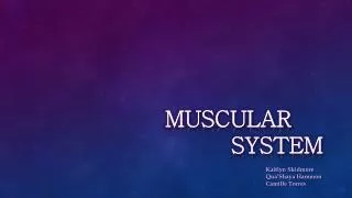 MUSCULAR 				SYSTEM
