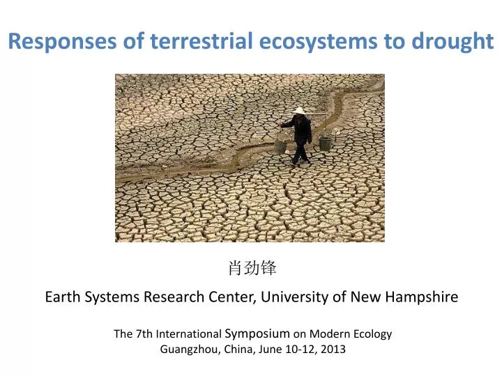 responses of terrestrial ecosystems to drought