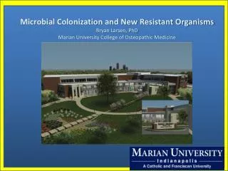 Microbial Colonization and New Resistant Organisms Bryan Larsen, PhD