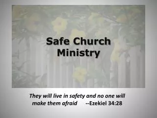 Safe Church Ministry