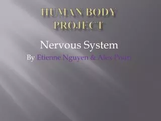 Human Body Project