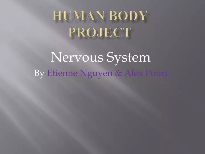 human body project