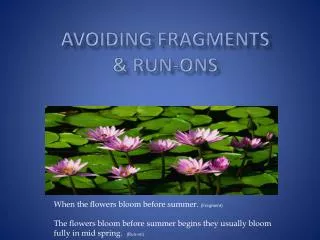 Avoiding Fragments &amp; Run-ons