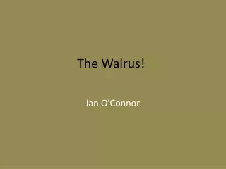 The Walrus!