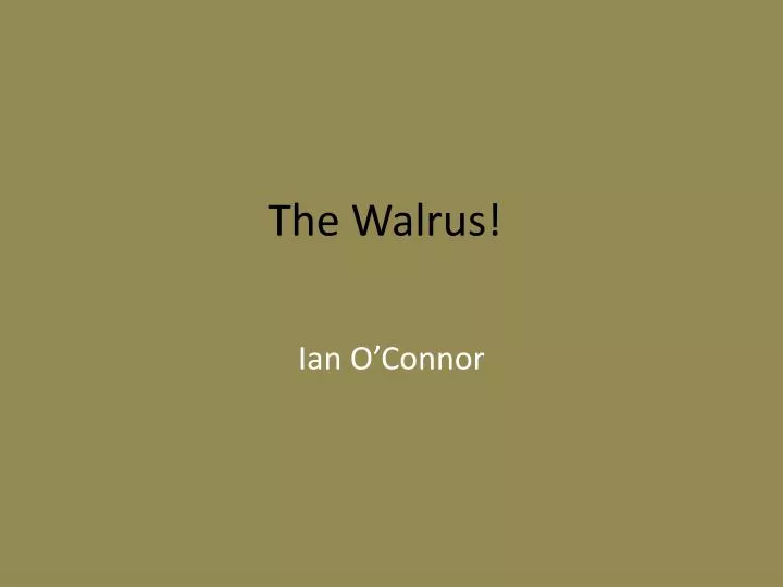 the walrus