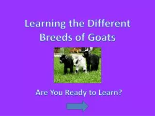 Learning the Different Breeds of Goats