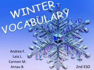 WINTER VOCABULARY