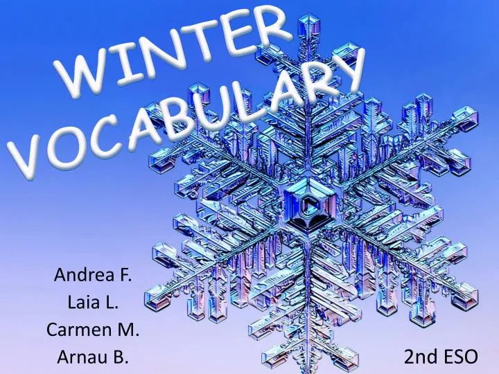 winter vocabulary