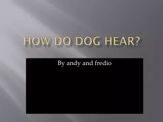 How do dog hear?