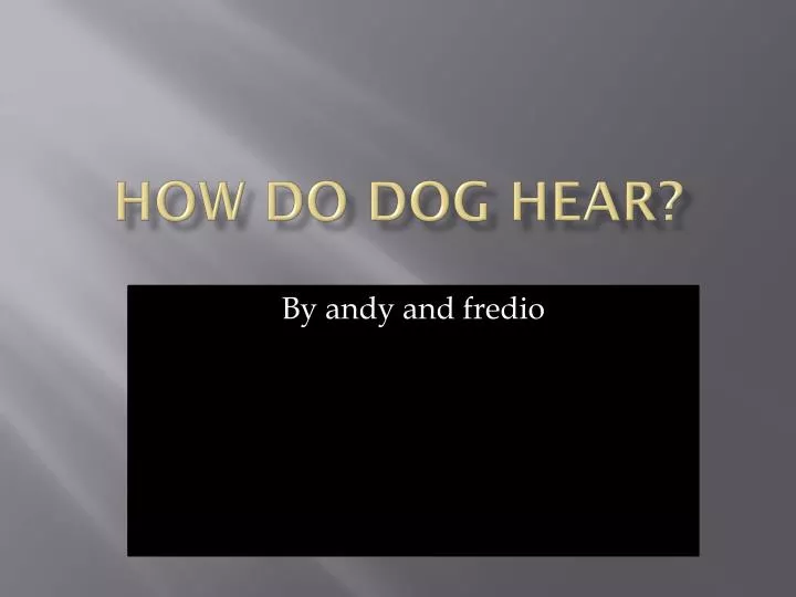 how do dog hear
