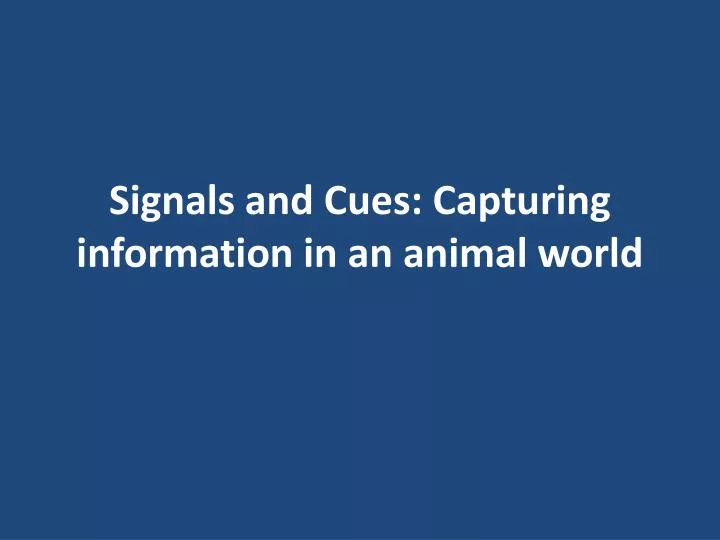 signals and cues capturing information in an animal world