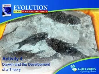 activity 4