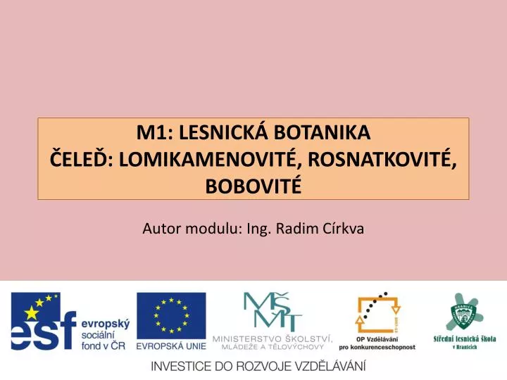 m1 lesnick botanika ele lomikamenovit rosnatkovit bobovit