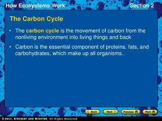 the carbon cycle