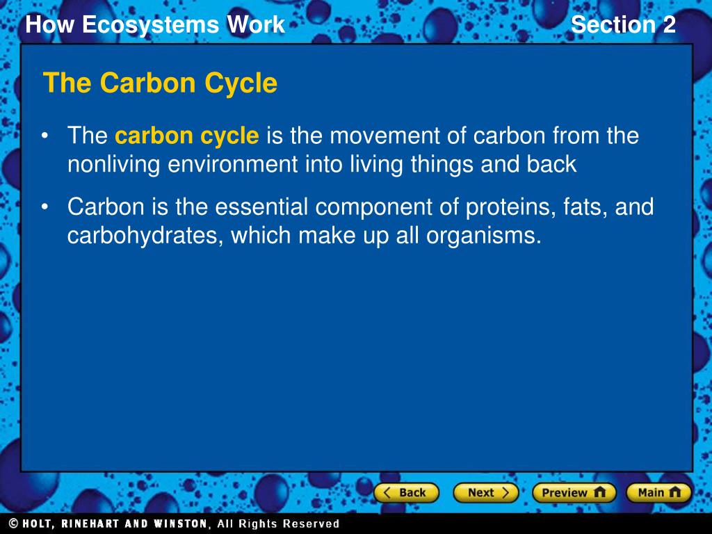 PPT - The Carbon Cycle PowerPoint Presentation, free download - ID:2212518