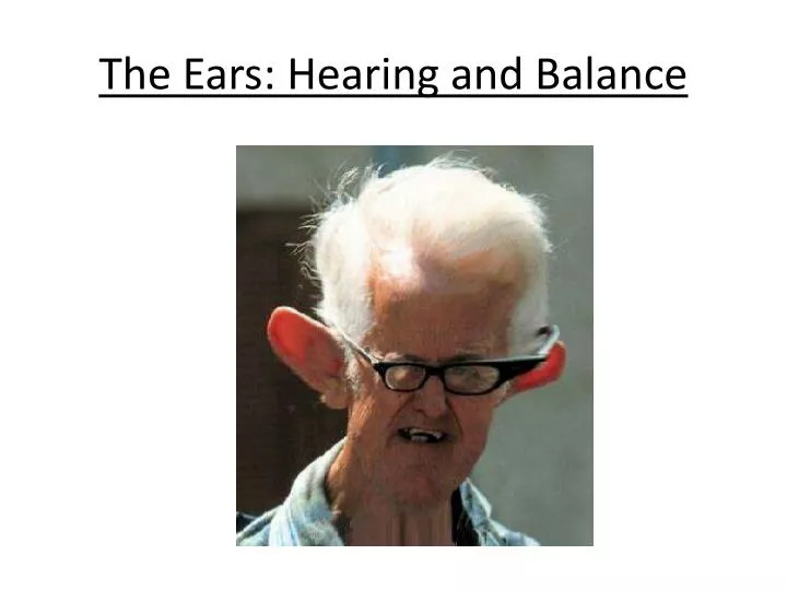 the ears hearing and balance