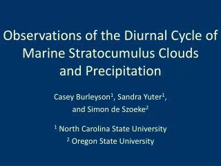 Observations of the Diurnal Cycle of Marine Stratocumulus Clouds and Precipitation