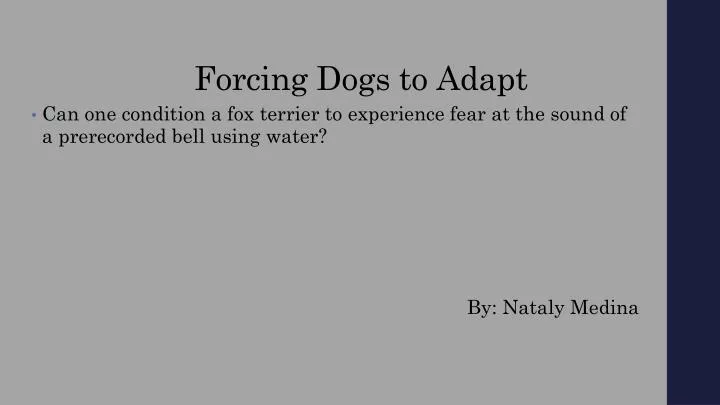 forcing dogs to adapt