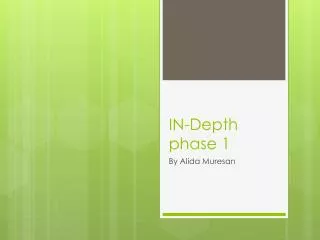 IN-Depth phase 1