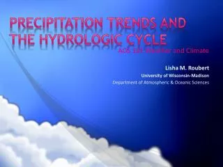 Precipitation trends and the hydrologic cycle