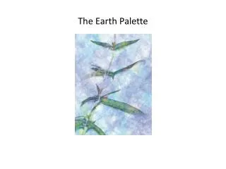 The Earth Palette