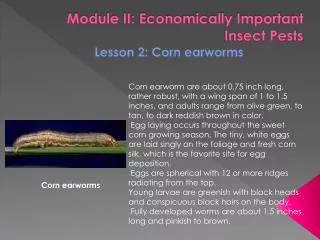 Module II: Economically Important Insect Pests