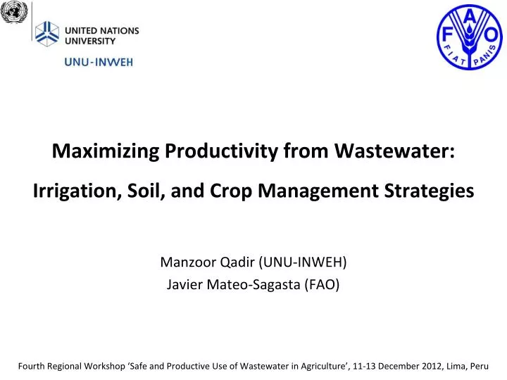 maximizing productivity from wastewater irrigation soil and crop management strategies
